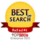 Best Enterprise SEO