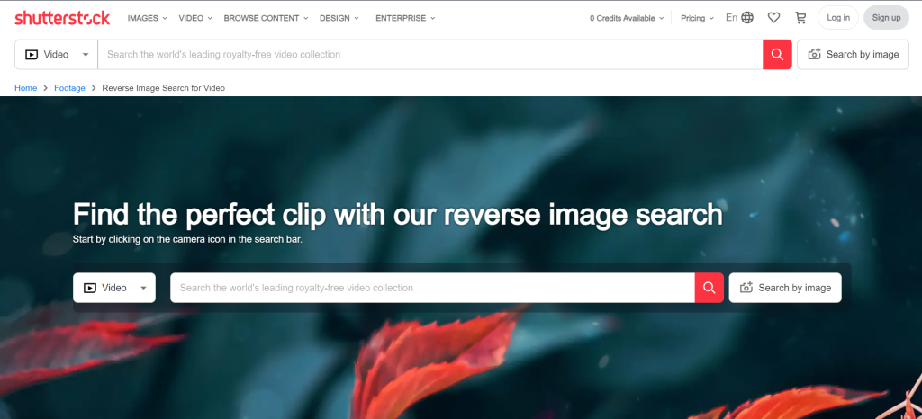 Reverse Video Search Using Shutterstock